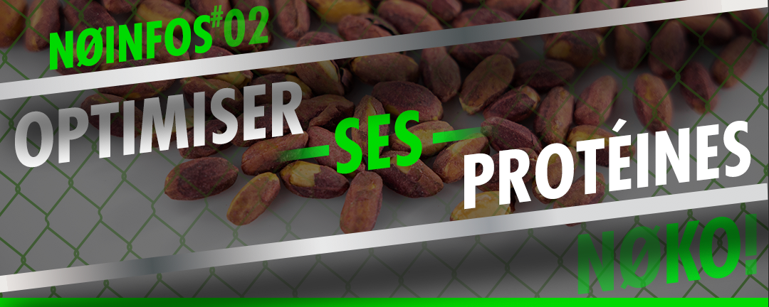 Optimiser ses apports en protéines