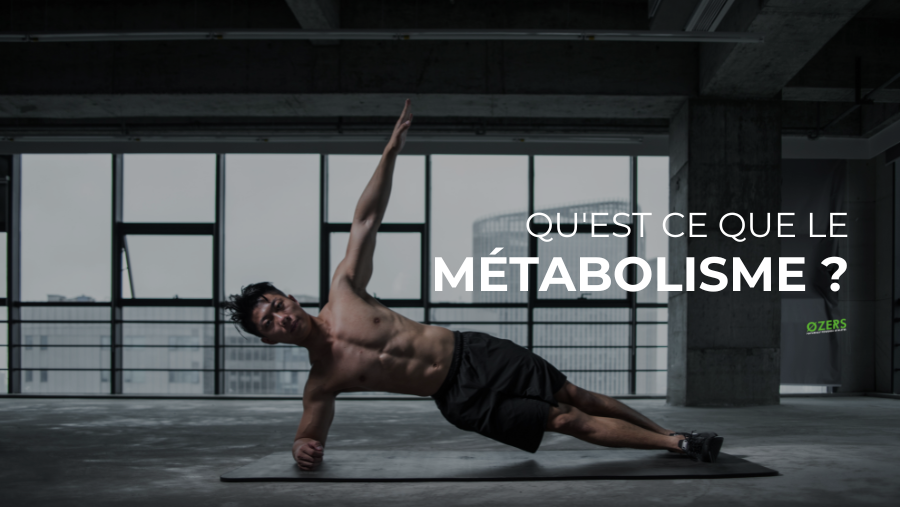 Qu’est-ce que le métabolisme ?