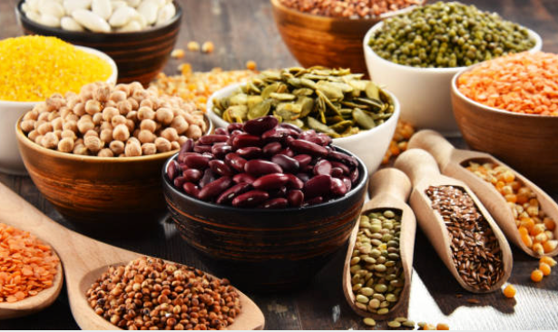 5 raisons d'opter pour les protéines végétales : bien-être, performances, santé