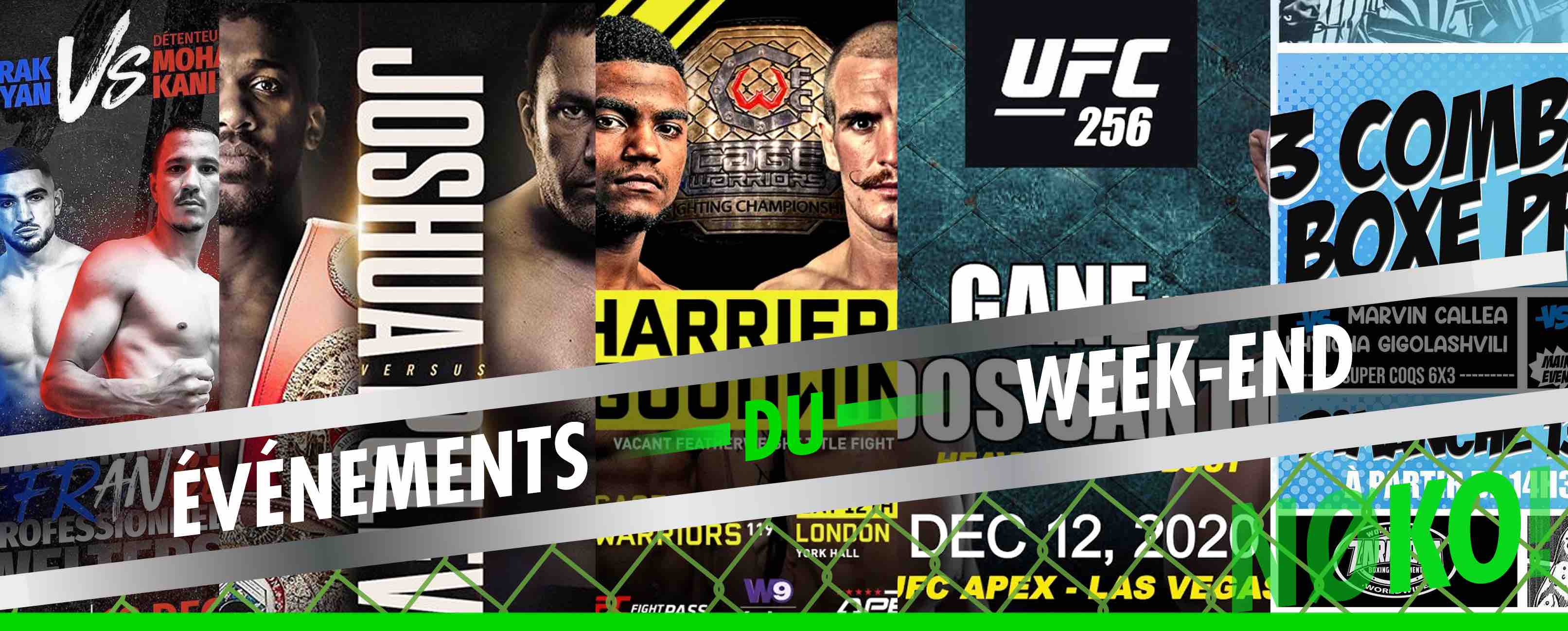 JOSHUA vs PULEV à Londres, GANE vs SANTOS à l'UFC