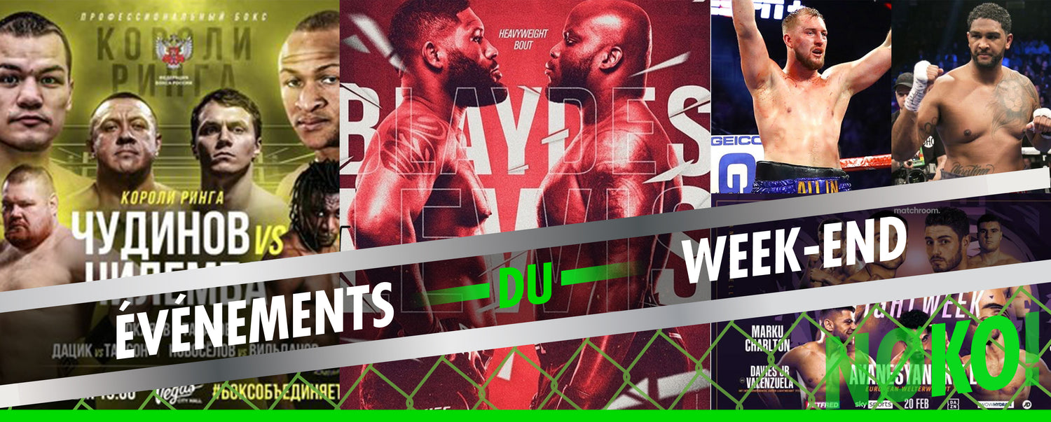Boxe et MMA pour ce week-end du 20 février 2021