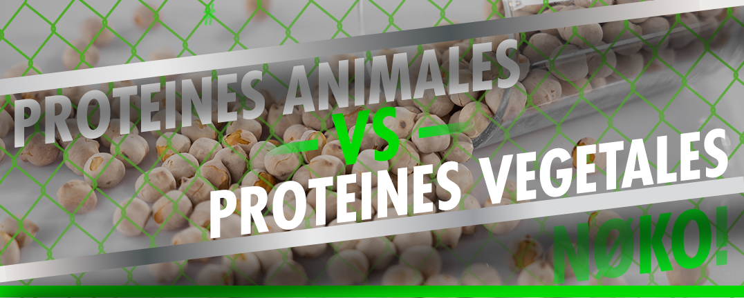 protéines végétales vs protéines animales