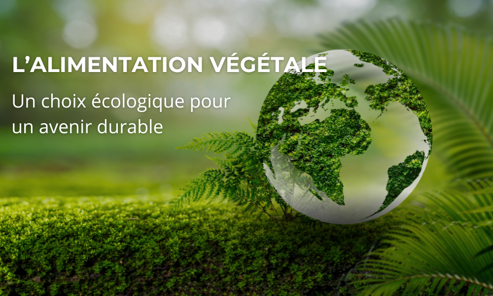 Alimentation végétale  bannière