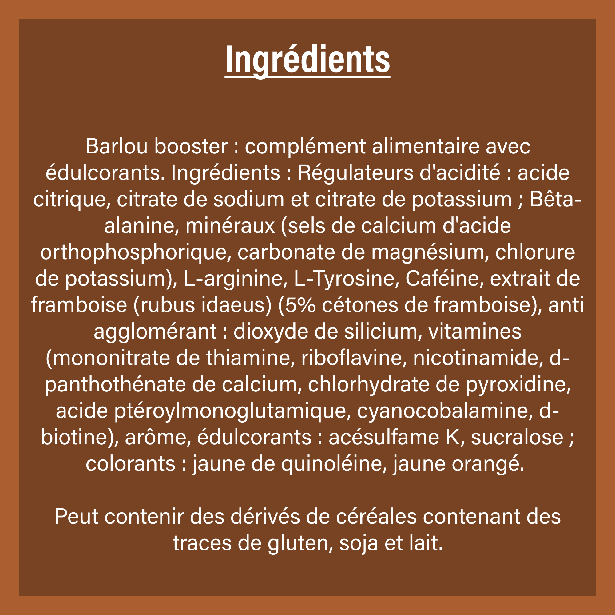 Barlou Booster photo 3